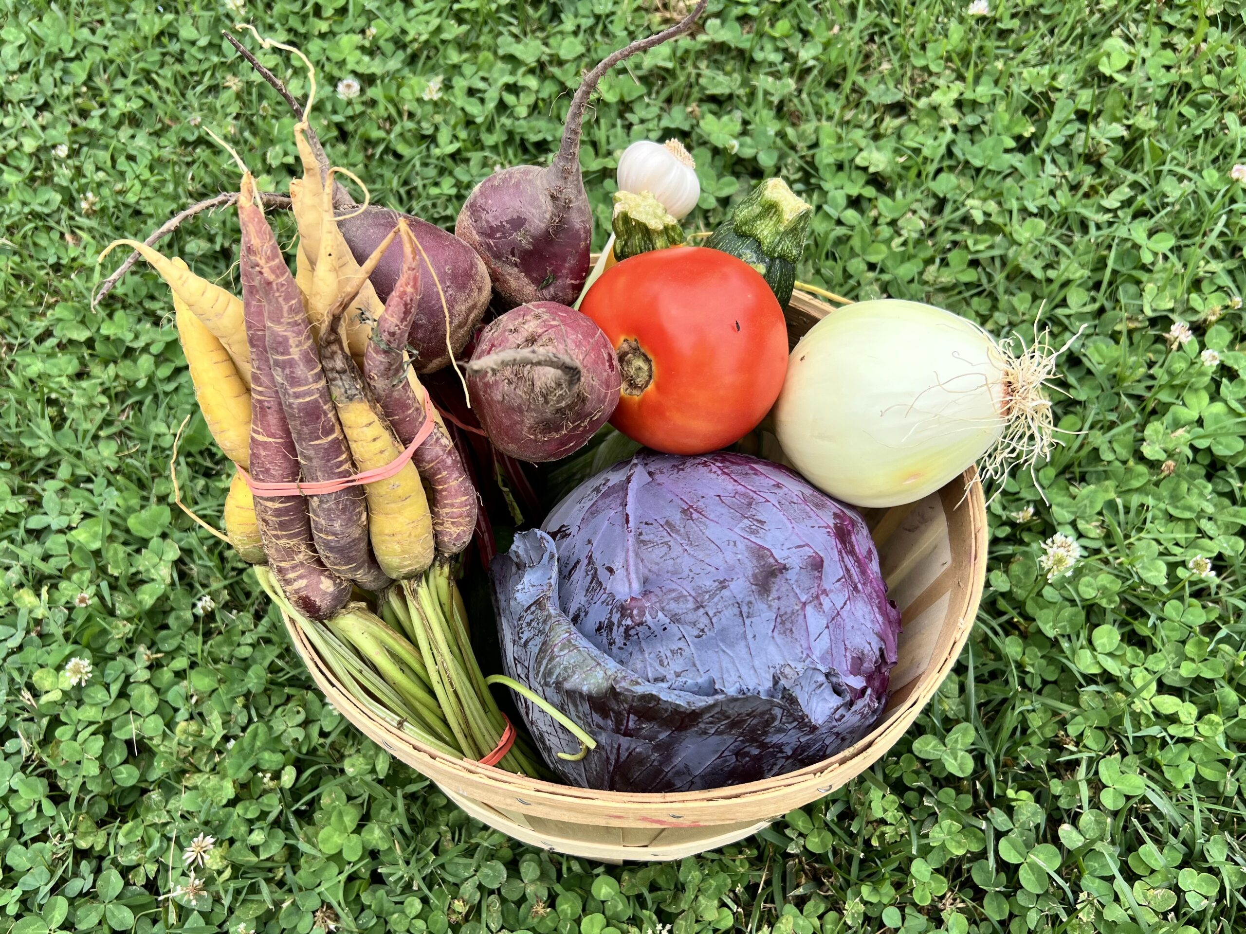 CSA box of vegetable, the kids are all right