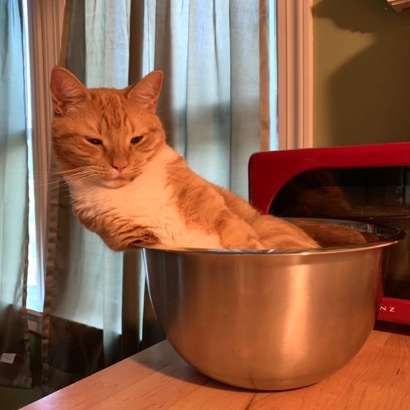 an orange cat sitting in a large silver mixing bowl and leaning heavily to out one side