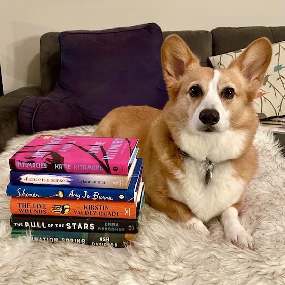 A photo of Dylan, a red and white corgi, sitting next to a stack of books: INTIMACIES by Katie Kitamura
SILENCE IS A SENSE by Layla Ammar
SHINER by Amy Jo Burns
THE FIVE WOUNDS by Kirstin Valdez Quade
THE PULL OF THE STARS by Emma Donoghue
DAMNATION SPRINGS by Ash Davidson