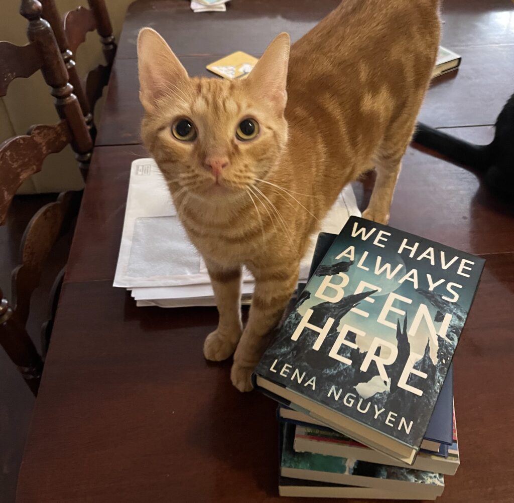 orange cat with books