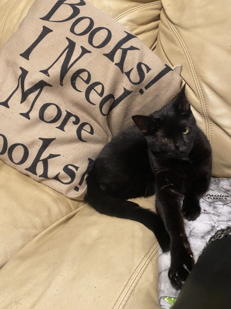 black cat next to a blanket that reads "Books! I Need More Books!"