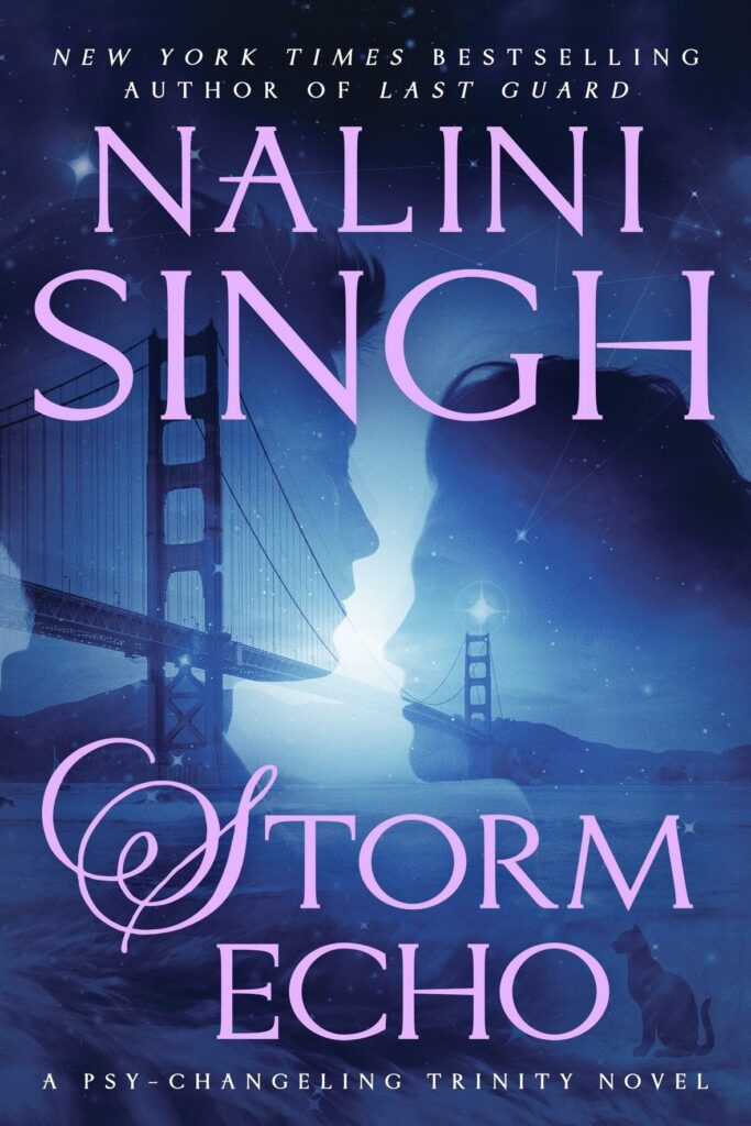 storm echo book cover