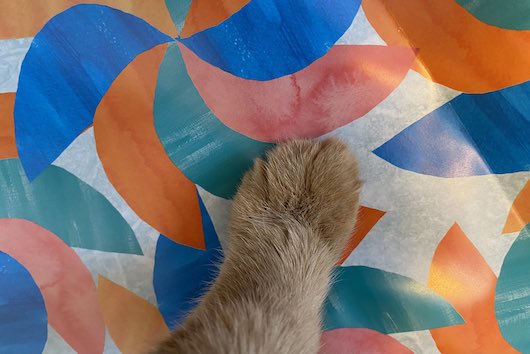 sandy colored cat paw on endpapers of This is a School