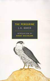 the peregrine book cover