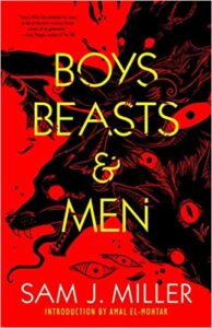 the cover of Boys, Beasts & Men