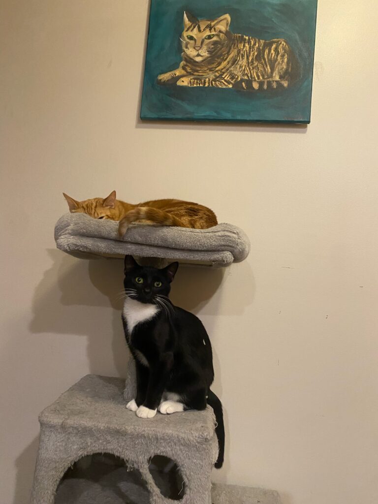 2 cats on a cat tree beneath a cat painting