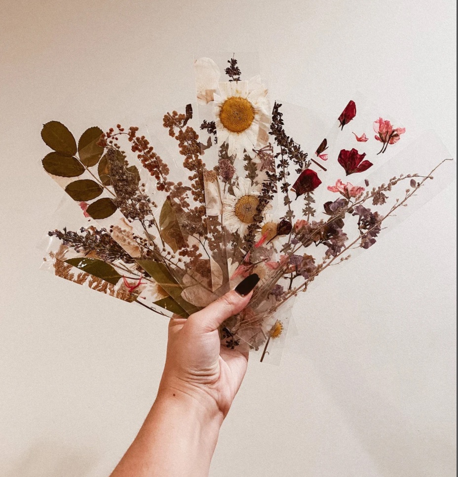 Image of a white hand holding several bookmarks featuring pressed flowers.