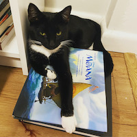 tuxedo cat with moana book