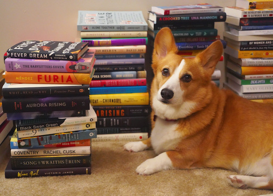 A photo of Dylan, a red and white Pembroke Welsh Corgi, sitting near stacks and stacks of books.