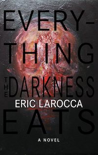 everything darkness eats book cover