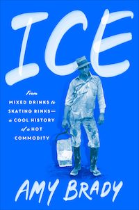 the cover of Ice by Amy Brady