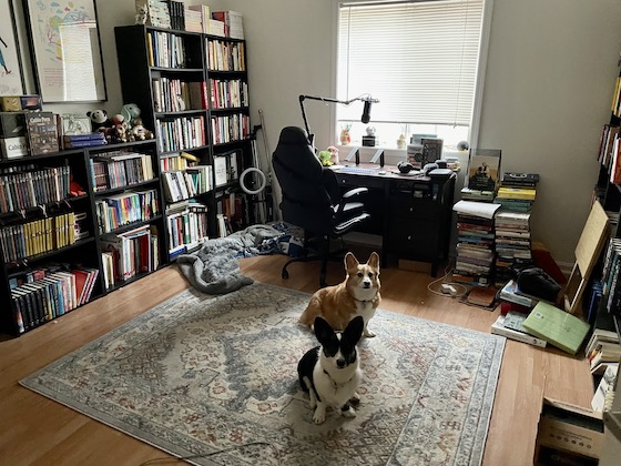 a photo of Dylan, a red and white Pembroke Welsh Corgi, and Gwen, a black and white Cardigan Welsh Corgi, sitting on a light colored carpet in the middle of a library