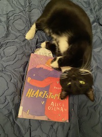 tuxedo cat posing with Heartstopper Vol 4 book