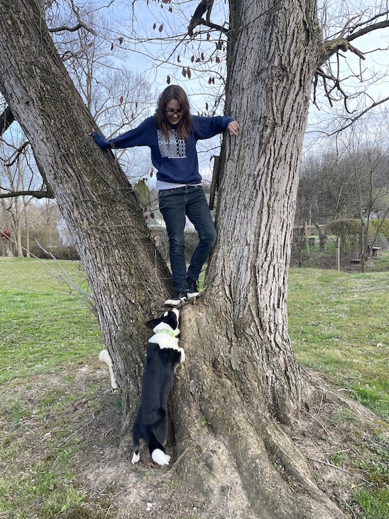 a photo of Kendra, a white woman with brunette hair, standing in a tree. Gwen, a black and white Corgi, is caught mid-bark as she tried to follow Kendra up the tree.