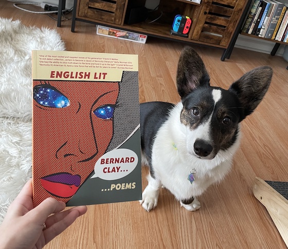 Gwen, a black and white cardigan welsh Corgi, models with One of My Favorite Poetry Collections, English Lit by Affrilachian Poet Bernard Clay