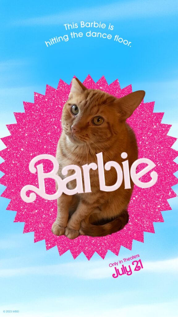 orange cat barbie meme