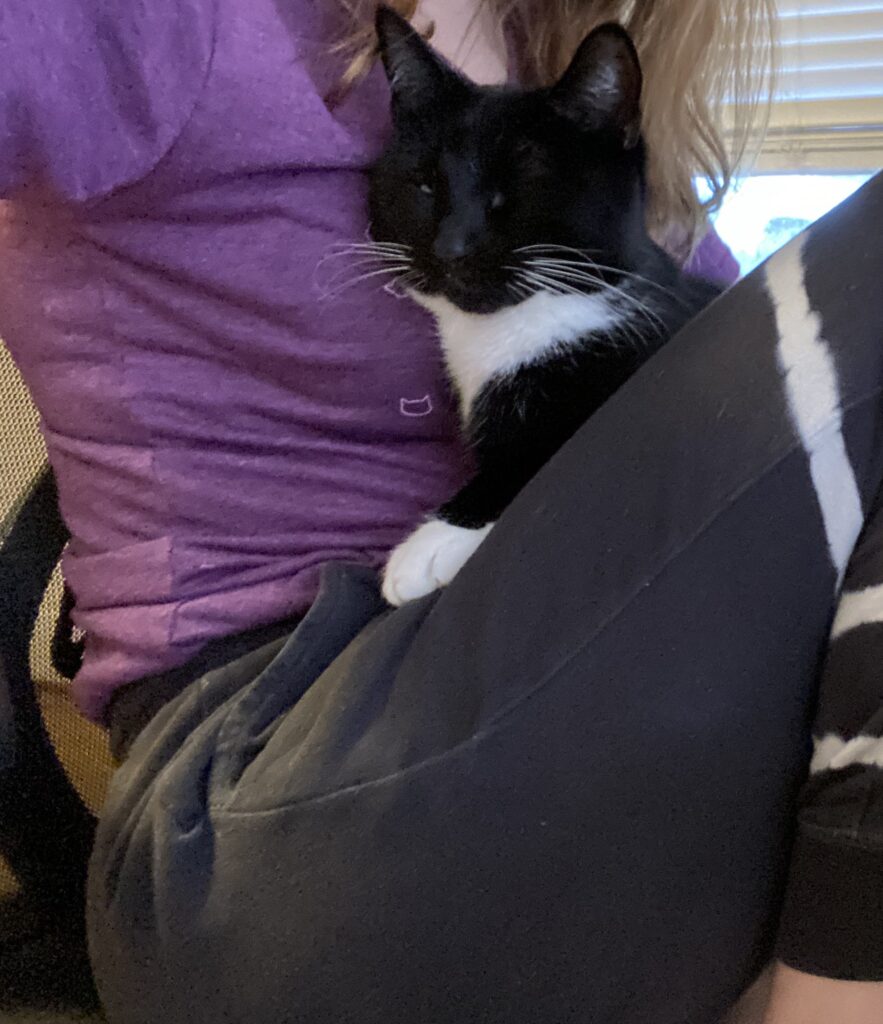 tuxedo cap on lap of a person who is yes still in her pajamas