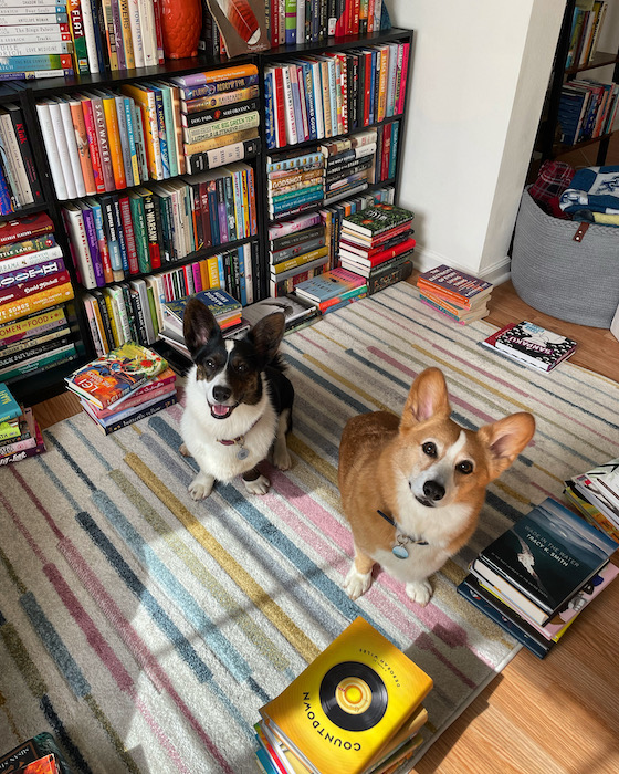 a photo of Gwen, a black and white Cardigan Welsh Corgi, and Dylan, a red and white Pembroke Welsh Corgi, sitting on a pastel rainbow rug. Rows and row of bookshelves are behind them.