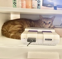 orange cat hiding behind a nintendo