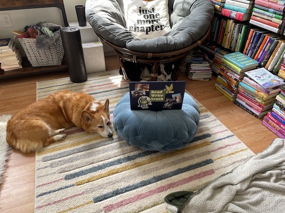 a photo of a round chair in a corner next to some bookshelves. Dylan, a red and white Pembroke Welsh Corgis, sleeping on a colorful rug. Gwen, a black and white Cardigan Welsh Corgi, sleeping under a round chair. Kendra's computer sits on a blue round cushion.