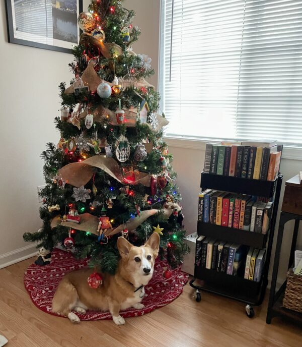 a photo of Dylan, a red and white Pembroke Welsh Corgi, sitting underneath a Christmas tree. The tree is covered in Corgi, owl, panda, and California-themed ornaments. A book cart stuffed with books sits to the right of the tree.