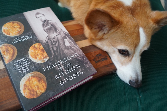 a photo of Dylan, a red and white Pembroke Welsh Corgi, posing with a copy of Praisesong for the Kitchen Ghosts