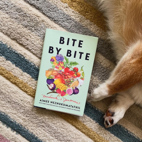 a photo of the book Bite by Bite laying on a multi-colored carpet. Dylan, a red and white Pembroke Welsh Corgi, is laying next to the book, but all you can see are his little arms and toe beans.