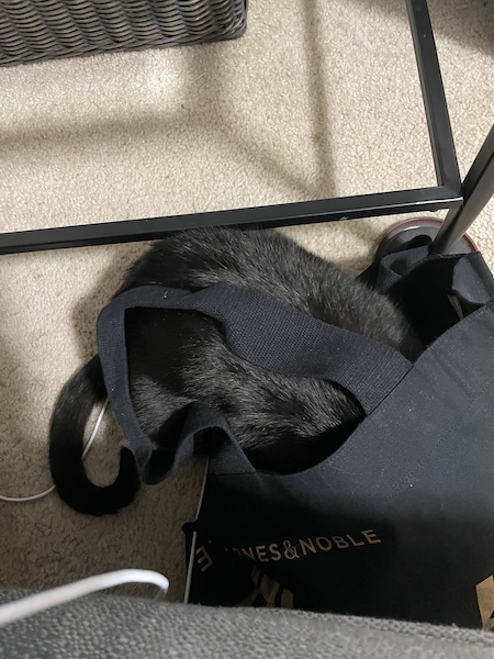 the tail end of a black cat sticking out of a black tote bag