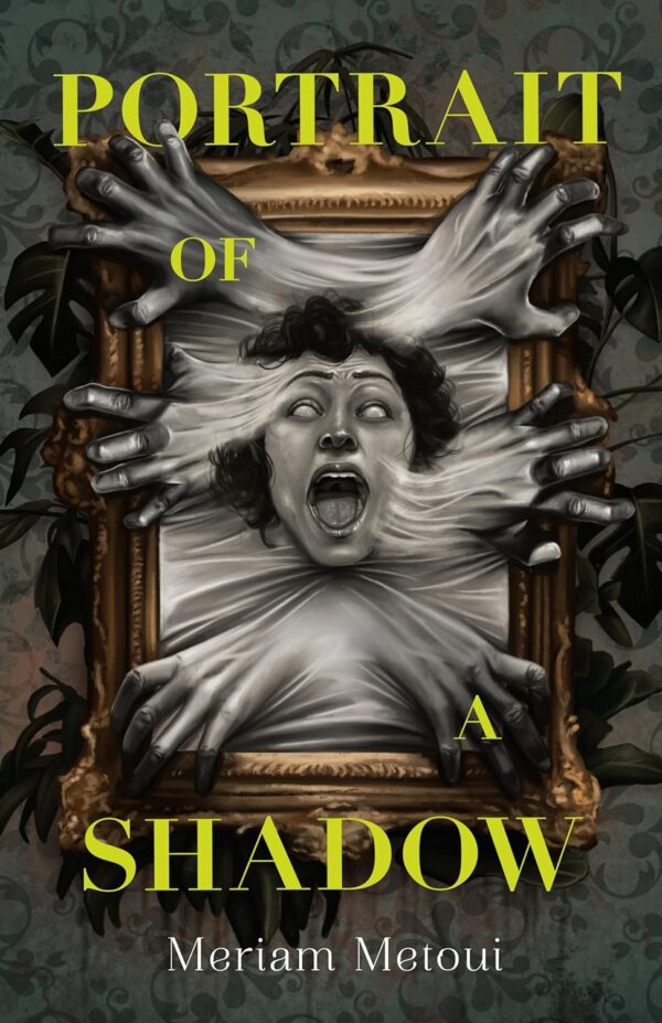 portrait of a shadow book cover